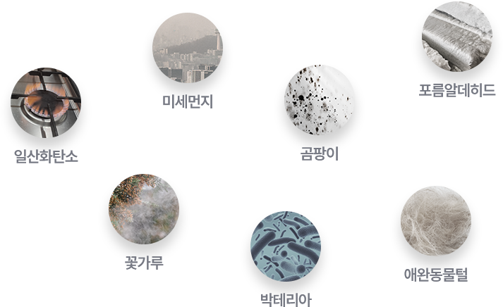 일탄화탄소, 미세먼지, 곰팡이, 포름알데히드, 꽃가루, 박테리아, 애완동물털