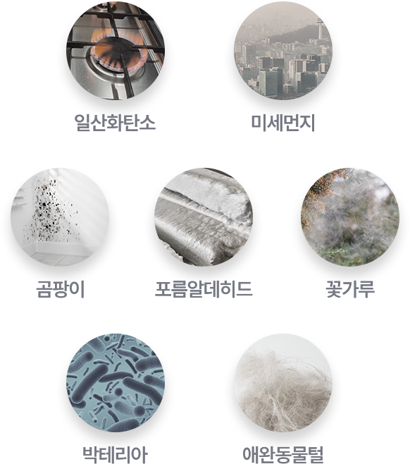 일탄화탄소, 미세먼지, 곰팡이, 포름알데히드, 꽃가루, 박테리아, 애완동물털